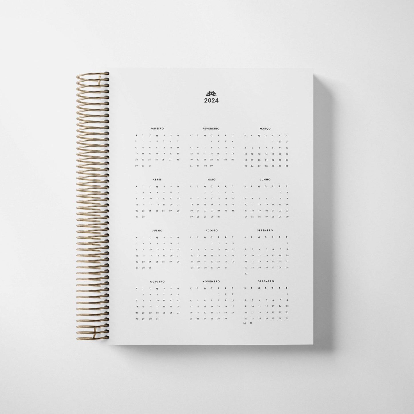 LIFE PLANNER 2024 * GOLD DOTS * 12 MONTH AGENDA