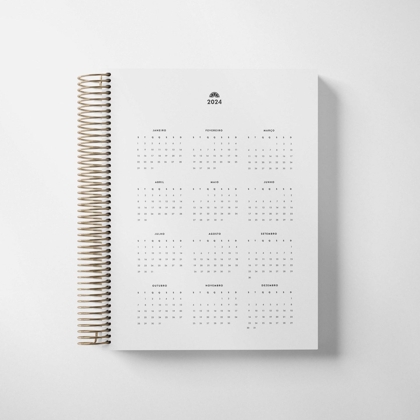 LIFE PLANNER 2024 * WILD DAISY * 12 MONTH AGENDA