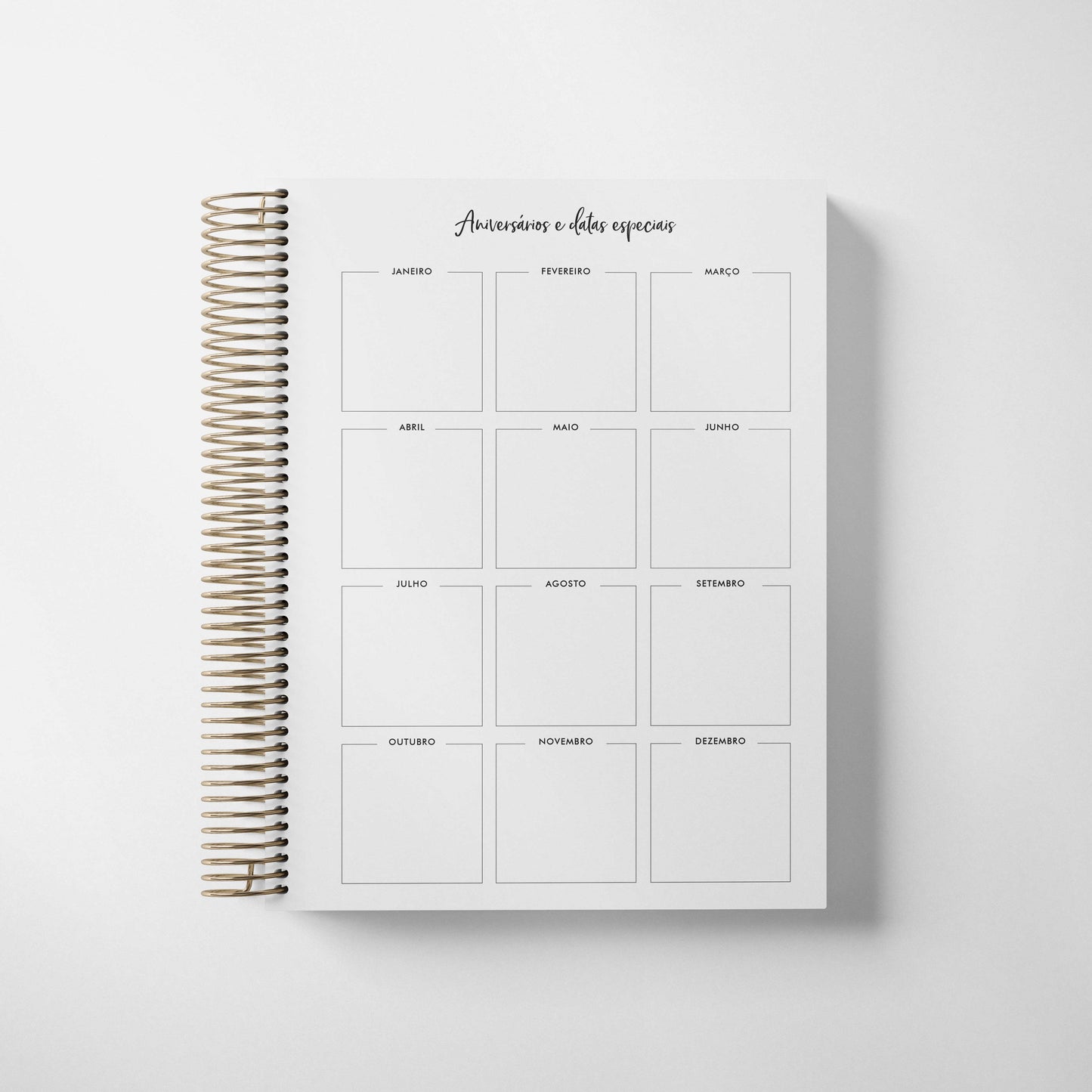 LIFE PLANNER 2024 * GOLD DOTS * 12 MONTH AGENDA