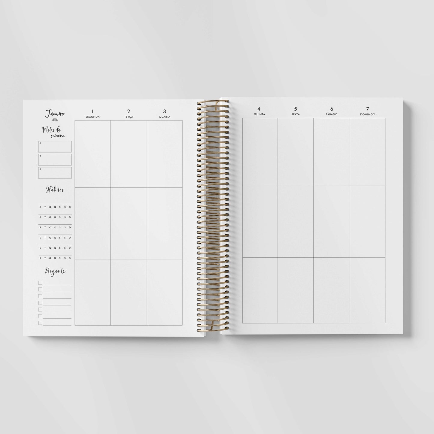 LIFE PLANNER 2024 * GOLD DOTS * 12 MONTH AGENDA