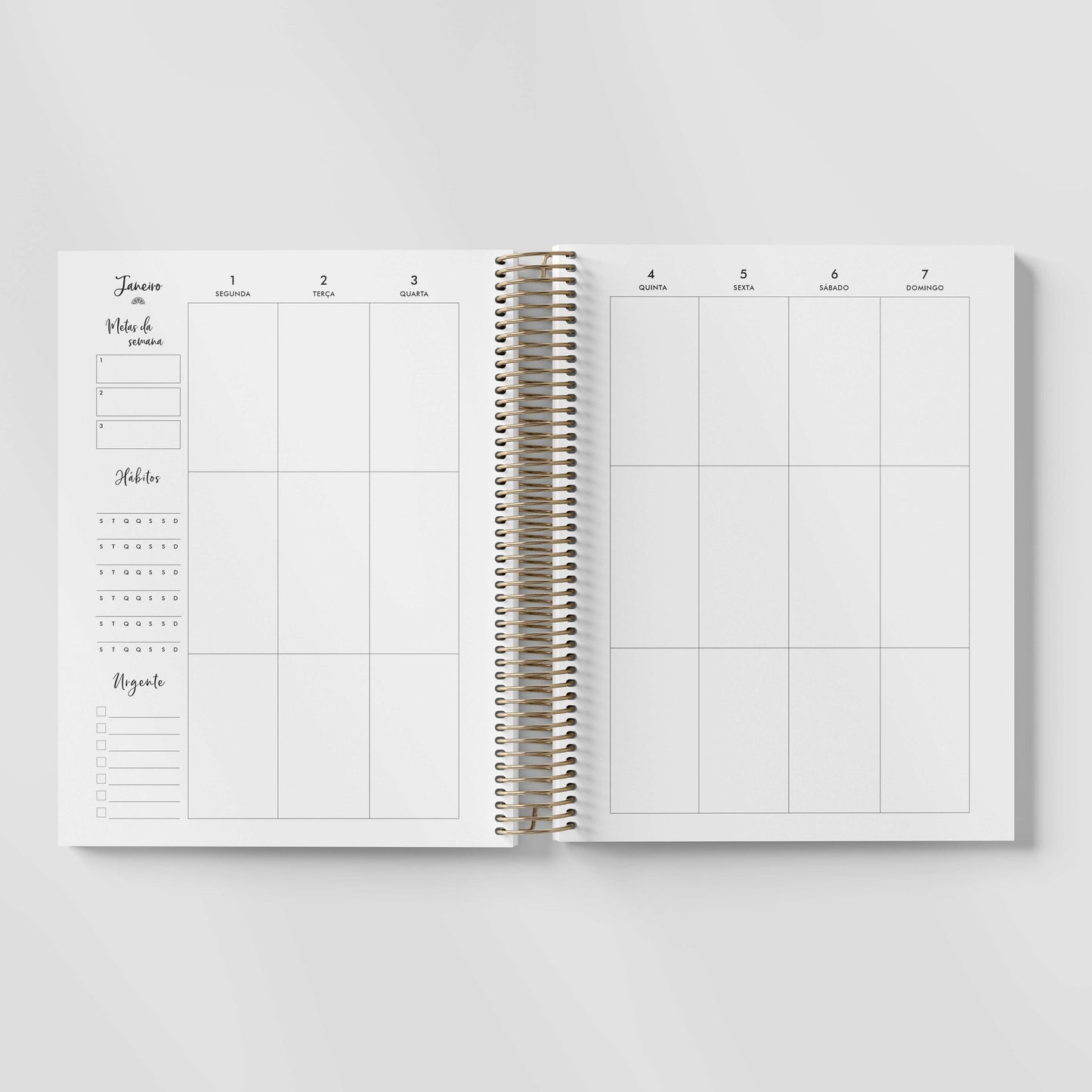 STRIPES + BOSS BABE | LIFE PLANNER 2024 * 12 MONTH AGENDA * ESPECIAL HOLIDAY SALE *