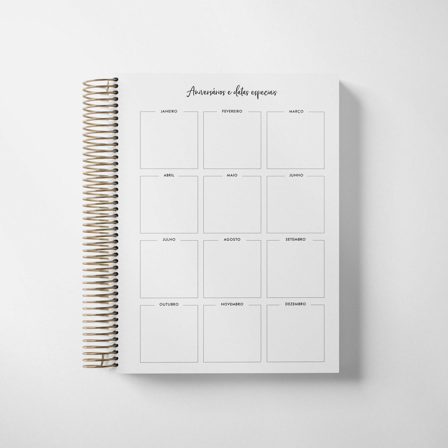 STRIPES + GOLD DOTS | LIFE PLANNER 2024 * 12 MONTH AGENDA * ESPECIAL HOLIDAY SALE *