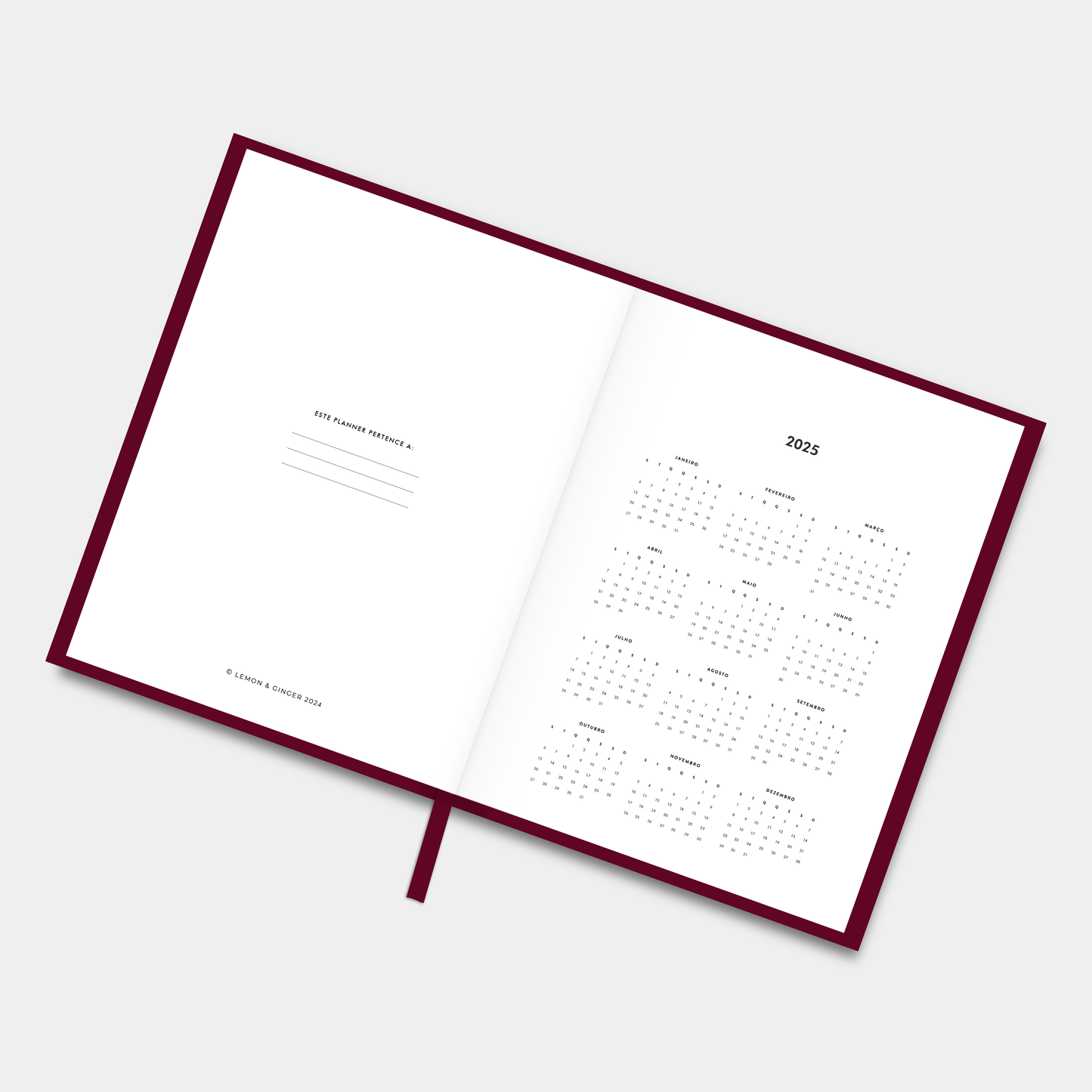 The LIFE PLANNER 2025 • EMPIRE • BURGUNDY