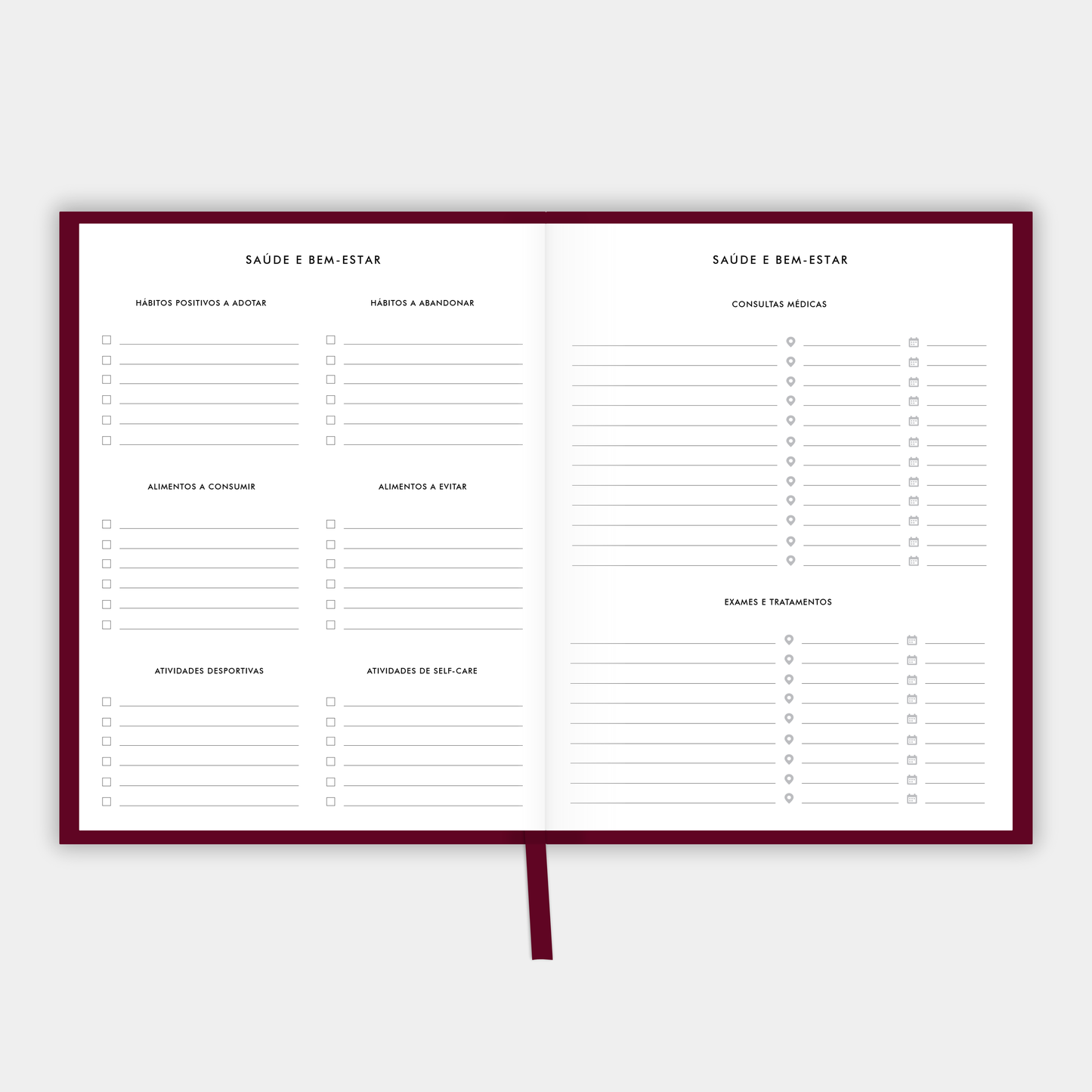 The LIFE PLANNER 2025 • EMPIRE • BURGUNDY