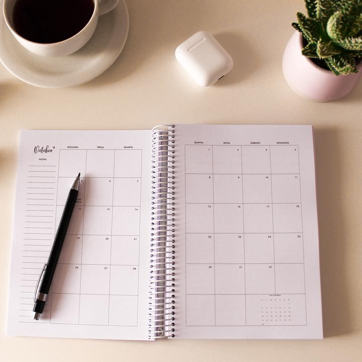 LIFE PLANNER 2023 * VSTRIPES * 12 MONTH AGENDA