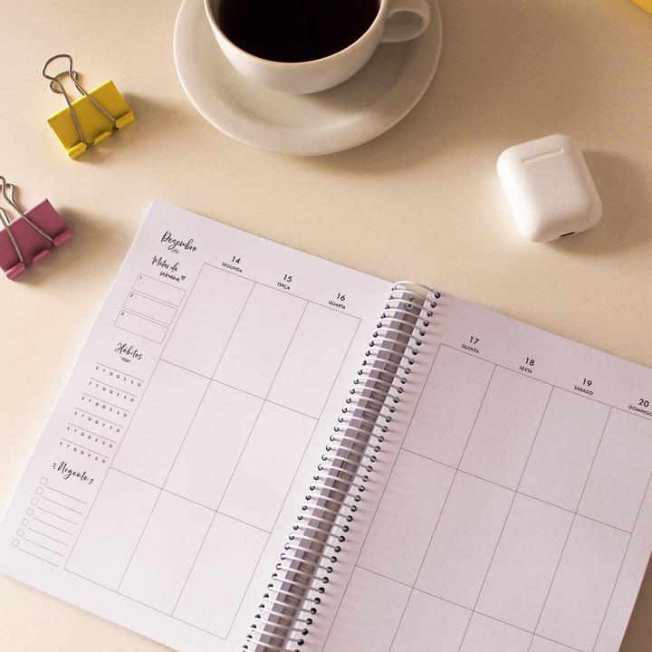 LIFE PLANNER 2023 * VSTRIPES * 12 MONTH AGENDA