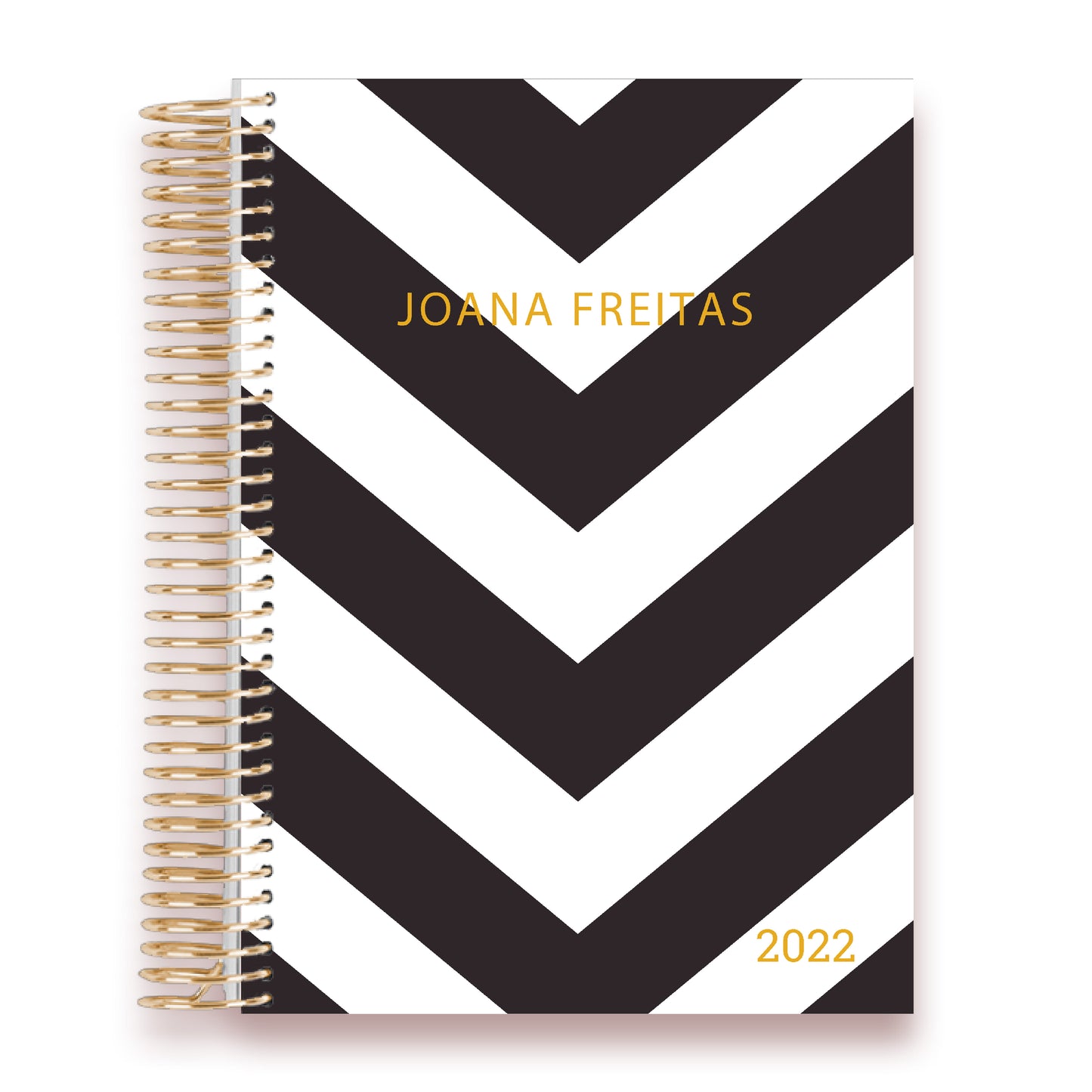 LIFE PLANNER 2023 * VSTRIPES * 12 MONTH AGENDA