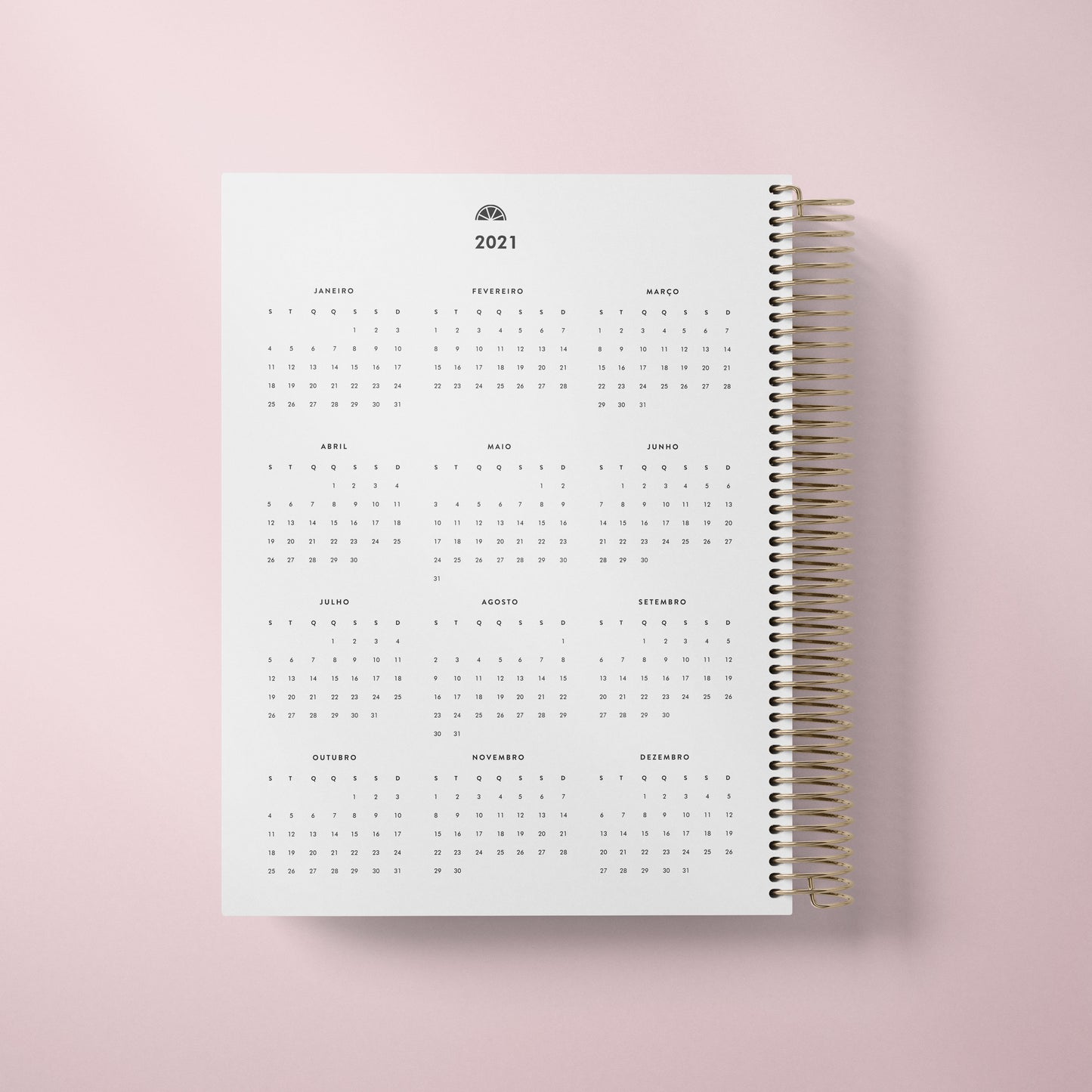 DAILY PLANNER * STRIPES * UNDATED AGENDA | PLANNER DIÁRIO PERPÉTUO