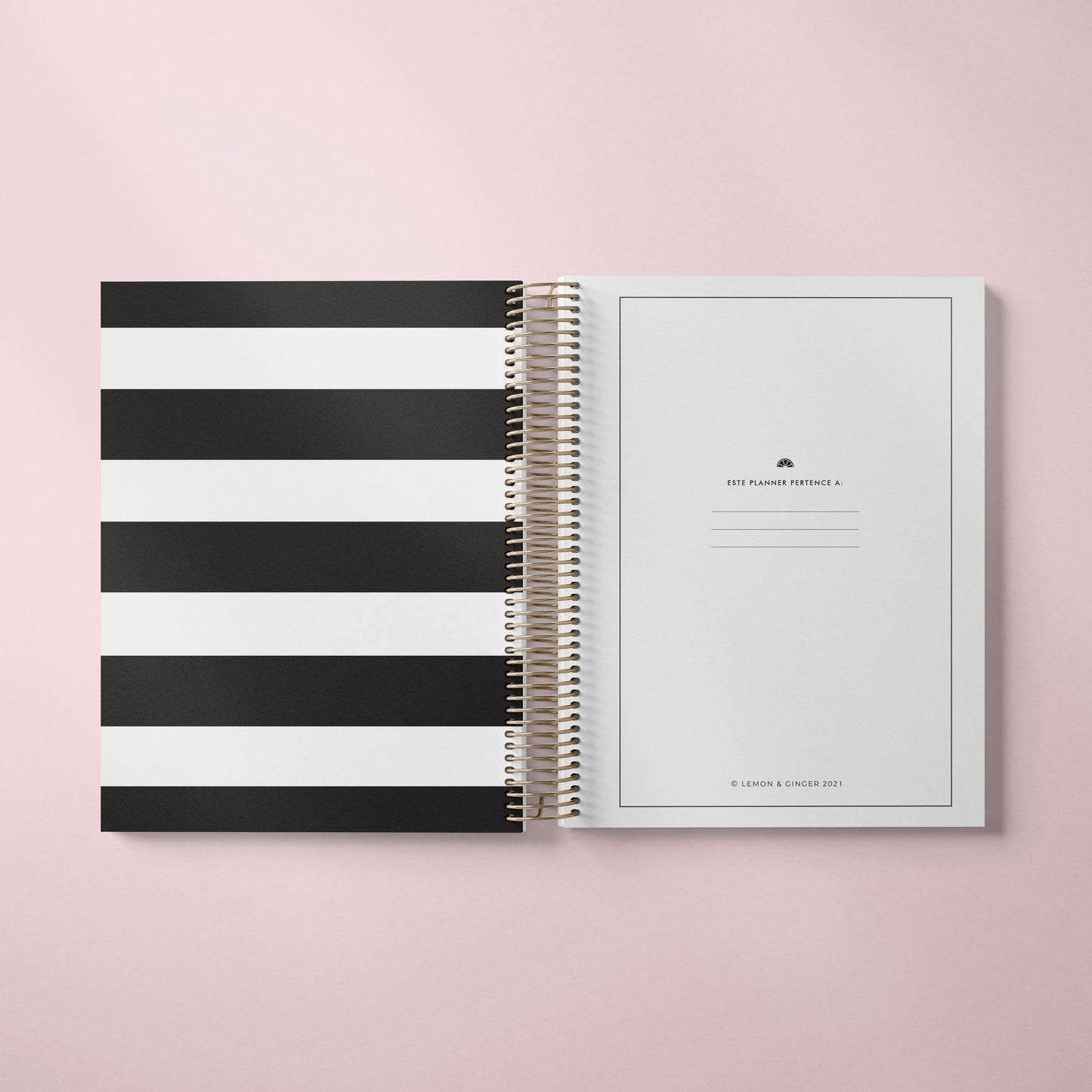 DAILY PLANNER * STRIPES * UNDATED AGENDA | PLANNER DIÁRIO PERPÉTUO