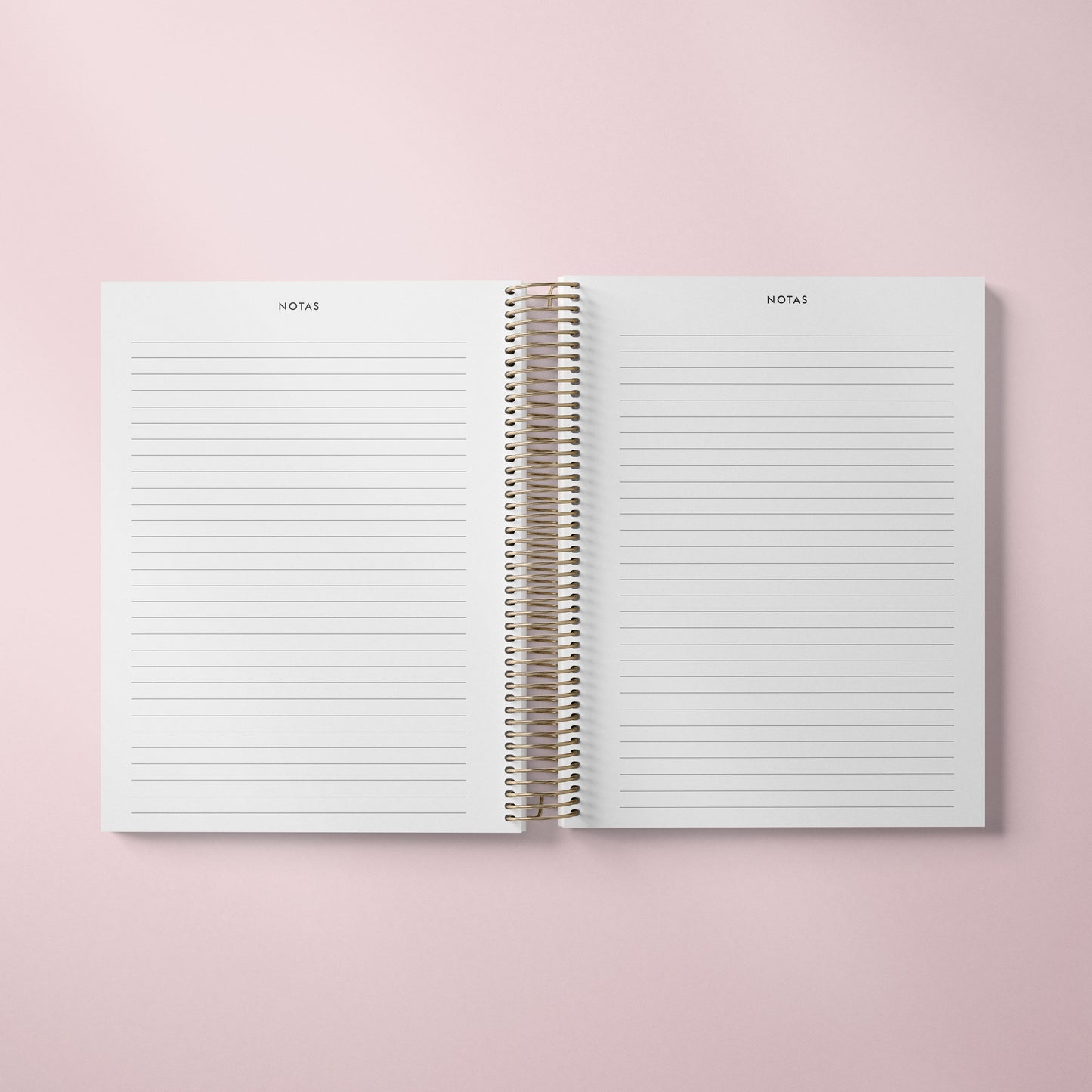 DAILY PLANNER * STRIPES * UNDATED AGENDA | PLANNER DIÁRIO PERPÉTUO